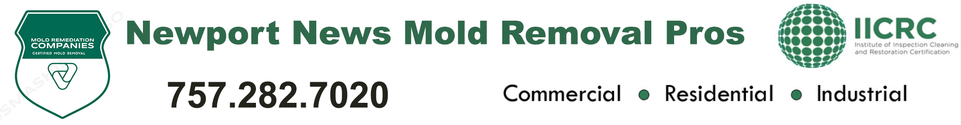 Newport News Mold Removal Pros