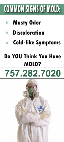 Newport News Mold Remediation Contractor